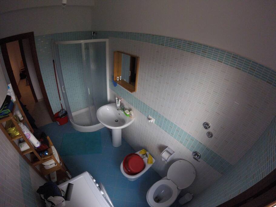 Independent bathroom with shower and washing machine.