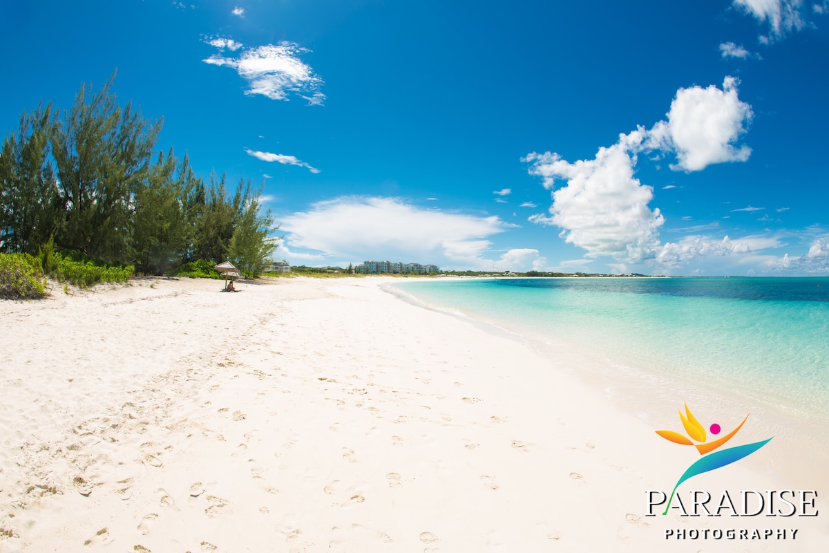 A serene beach scene is depicted, featuring soft white sand and gentle turquoise waters. Lush green trees line the edge of the beach, while a lone umbrella offers shade in the distance. The sky above is bright blue, adorned with scattered clouds.