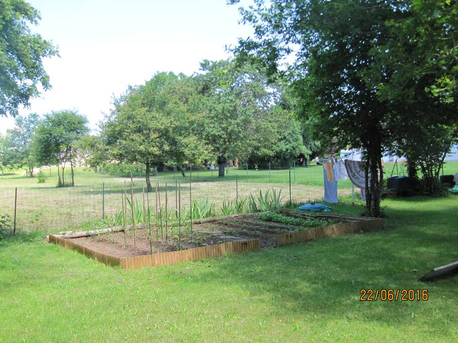 petit potager