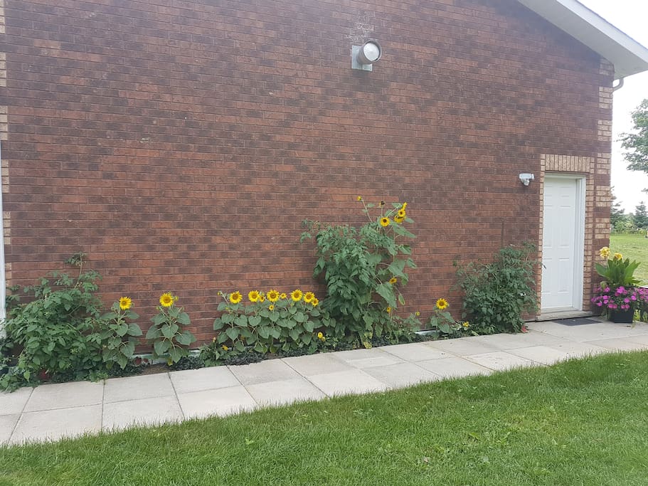 Side door entance