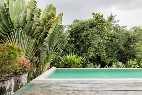 Traditional Splendor in Jungle Idylic  near Canggu