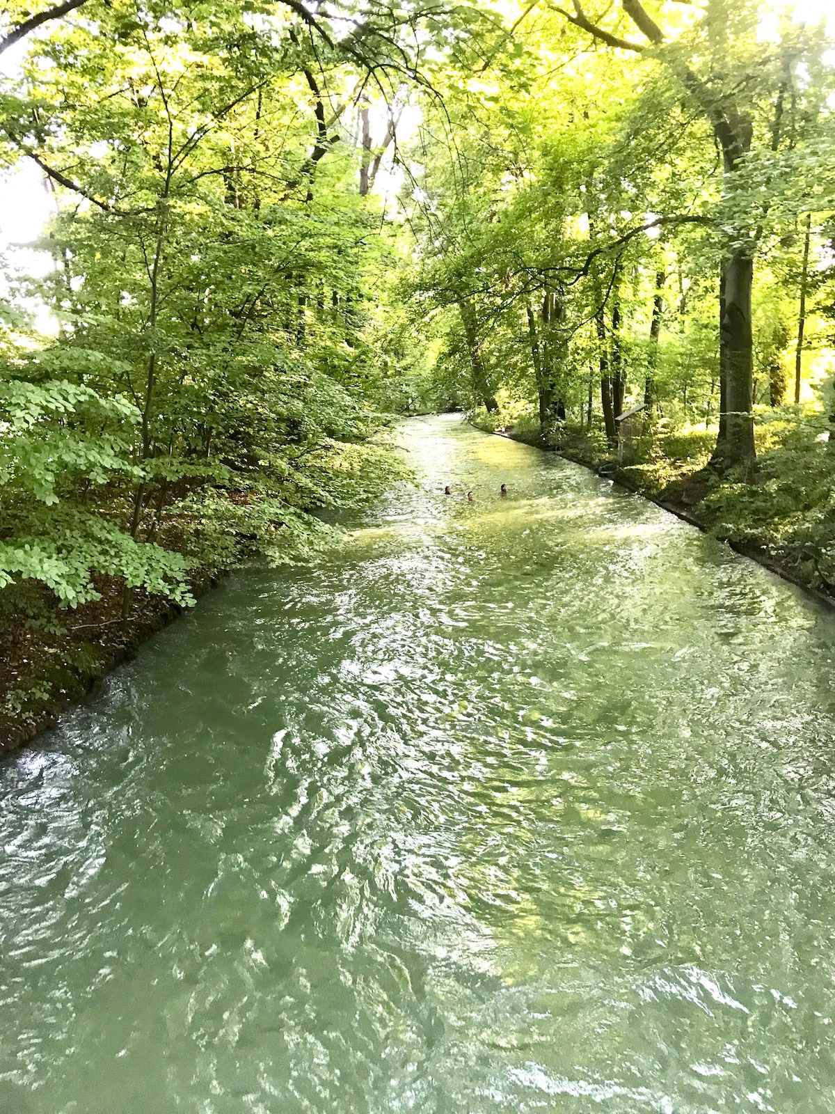 A tranquil waterway flows gently through a lush, green landscape. Tall trees line the banks, their leaves creating a canopy overhead. The sunlight filters through the foliage, casting soft reflections on the water's surface.