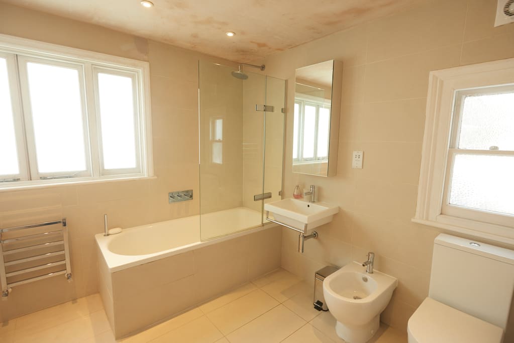 Here's the bathroom which has a shower bidet.
