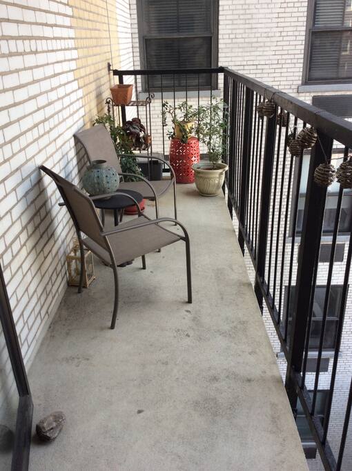 Terrace with tomato plant among others