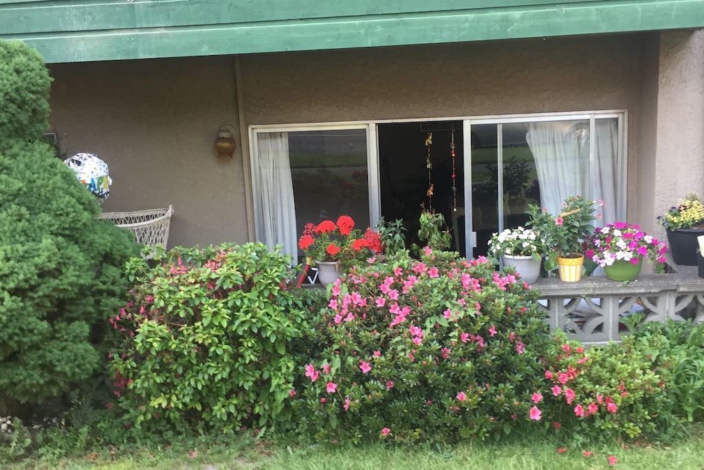 Front terrace & Garden