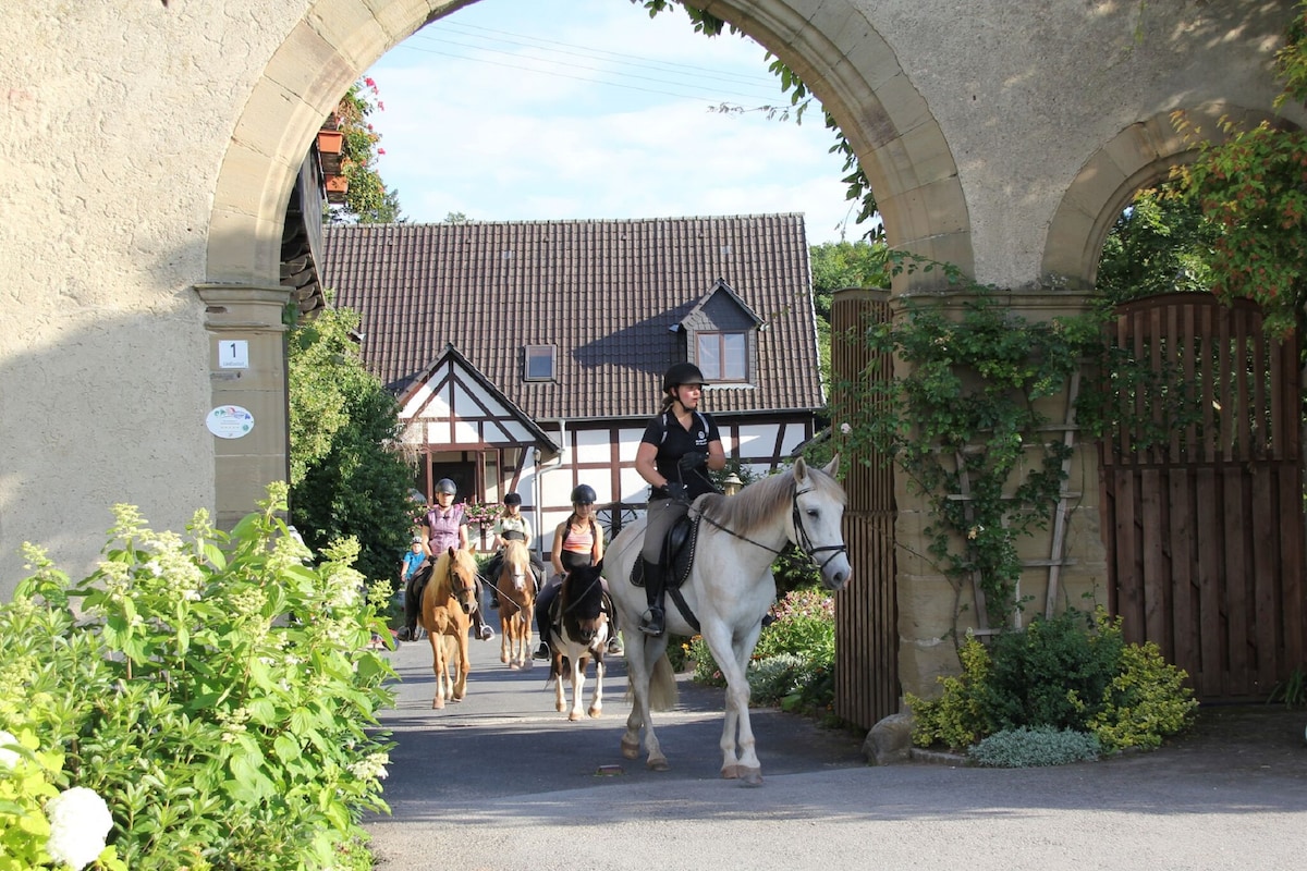 A picturesque entrance features an archway leading to a charming farmhouse. Individuals can be seen riding horses along a pathway lined with greenery, inviting exploration of the tranquil surroundings and highlighting the farm's connection to nature and outdoor activities.