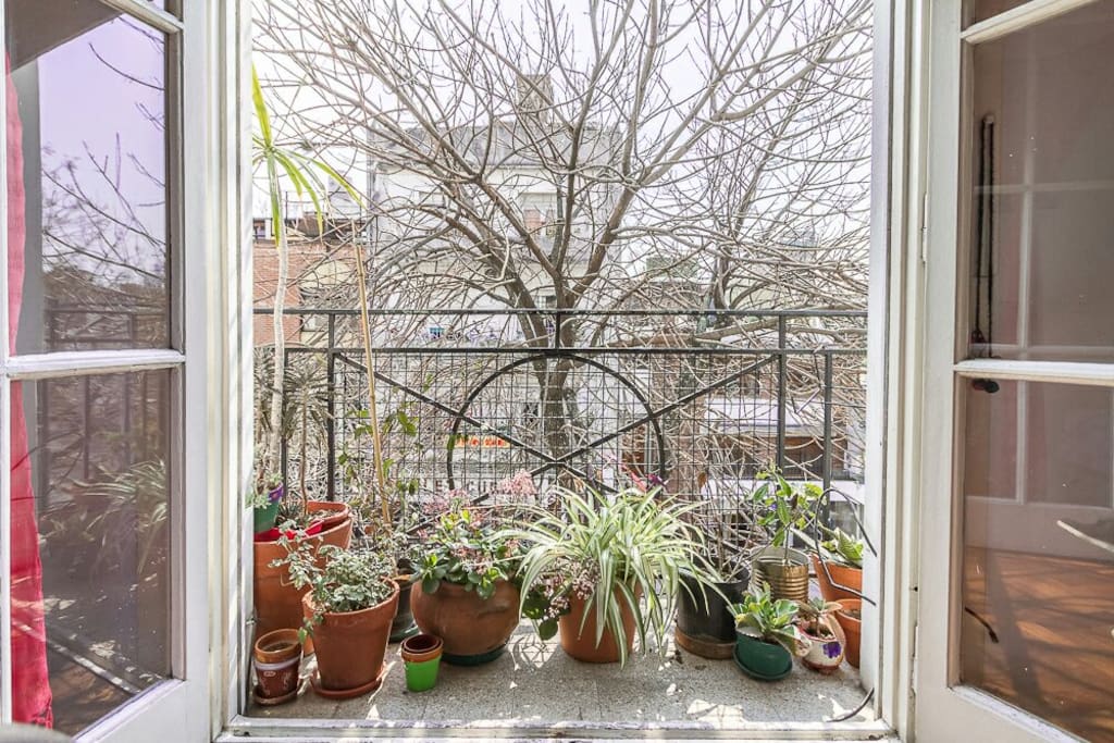 Balcon frances. Invierno en Bs As