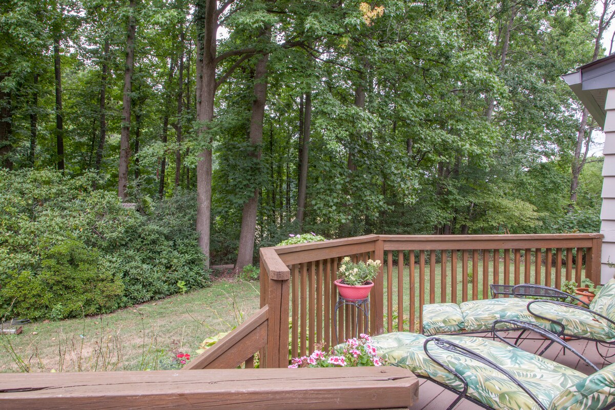 Leafy Setting