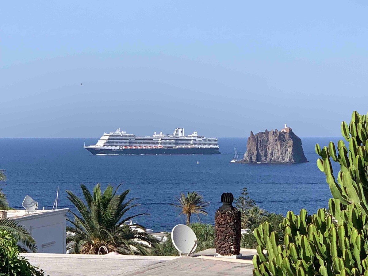An expansive view of the blue sea showcases a large cruise ship sailing leisurely in the distance, with the rocky formation of Strombolicchio standing prominently to the right. Lush greenery frames the foreground, adding to the coastal scene.
