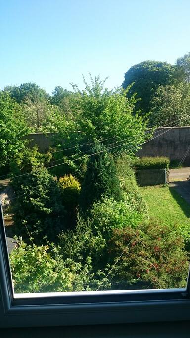view from the window
