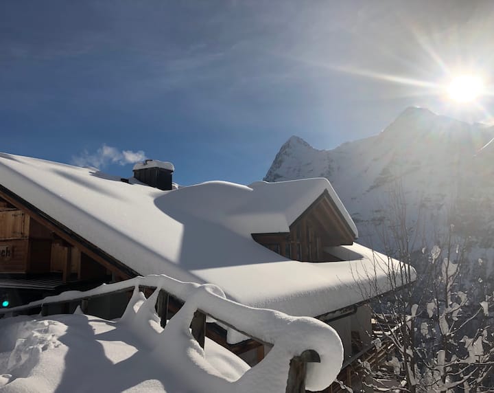 Chalet Monch, Murren, Jungfrau Apartments for Rent in Mürren, Canton