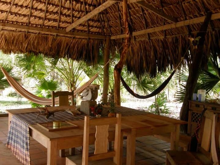 Eco-lodge In Front Of The Caribbean Sea - Puerto Escondido