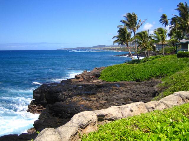 Oceanview 3BR, 3-1/2BA with AC Throughout gallery image 4