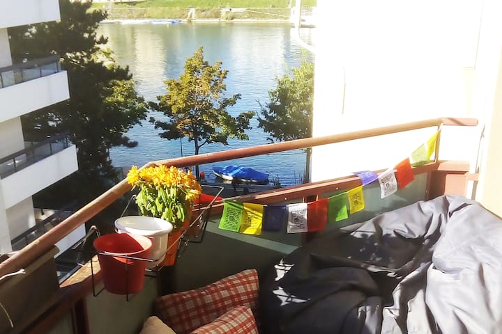 Bright room on the Rhine