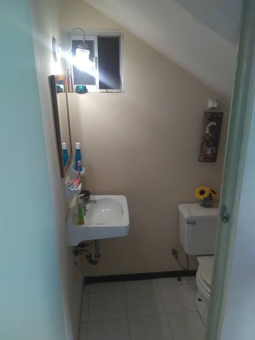 Baño planta baja