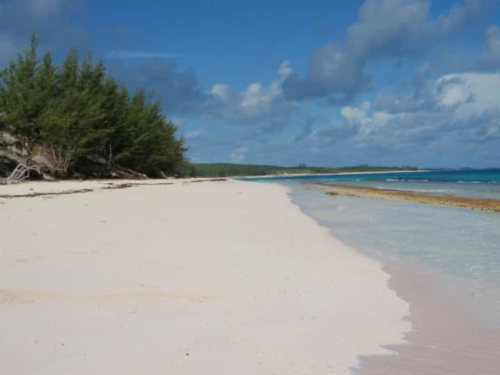 Cozy Cottage!  Walk to beach!