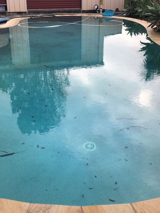Beautiful Pool
