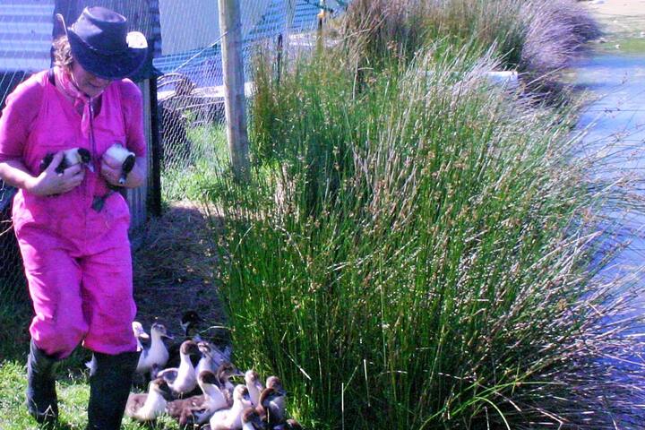 Kaikoura Crayfish And Poultry Farm Mountain Views Guest Suites