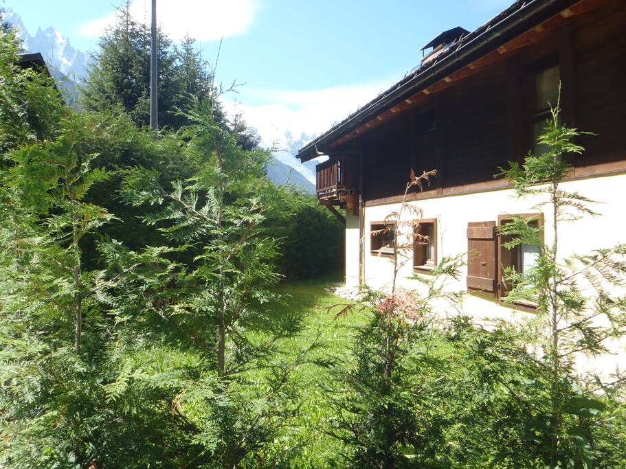 Garden view