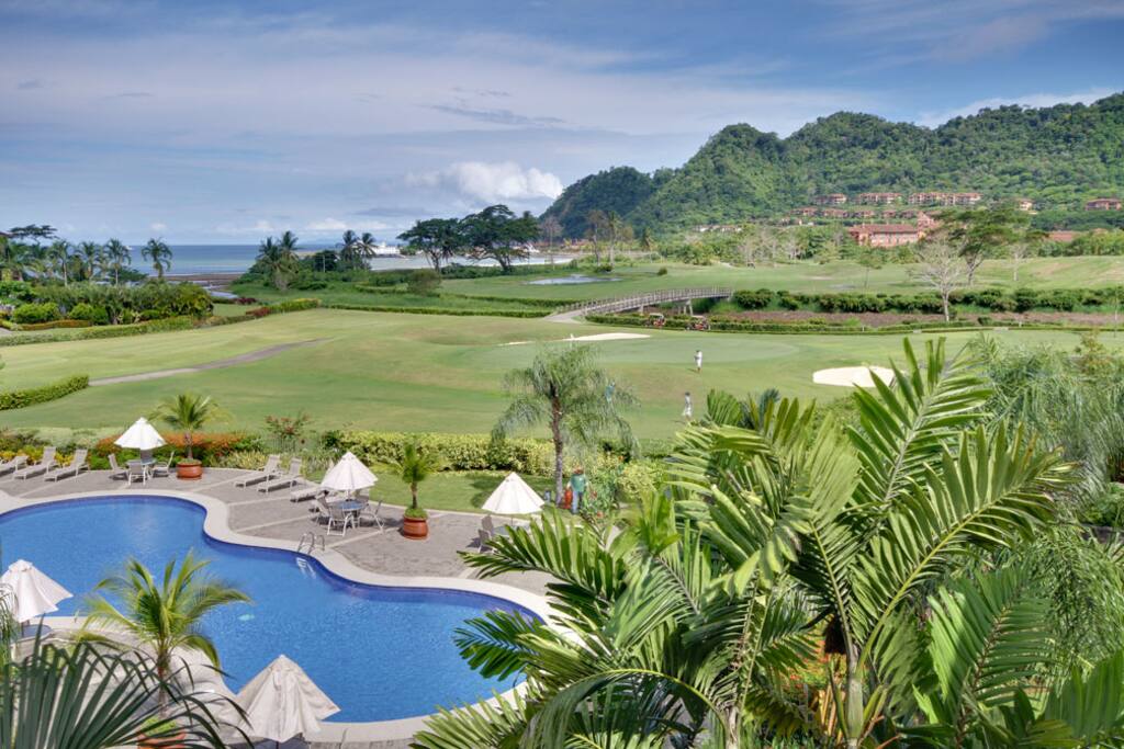 Golf Course,Grassland,Pool,Water,Palm Tree