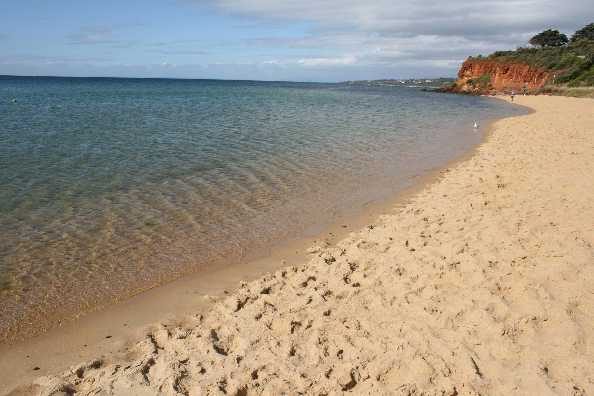 MORNINGTON BEACH APARTAMENTO # 5: em frente à praia, com excelentes vistas.