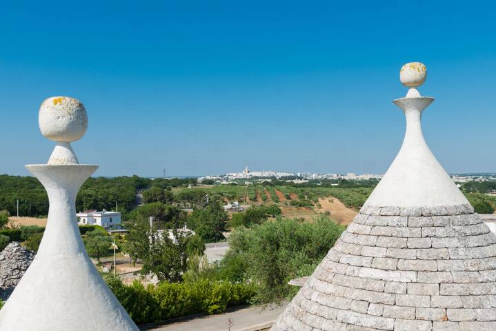 HelloApulia Trulli Albapetra with private pool gallery image 5