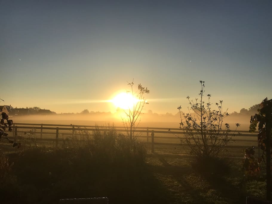 Sonnenaufgang über der Pferdeweide.