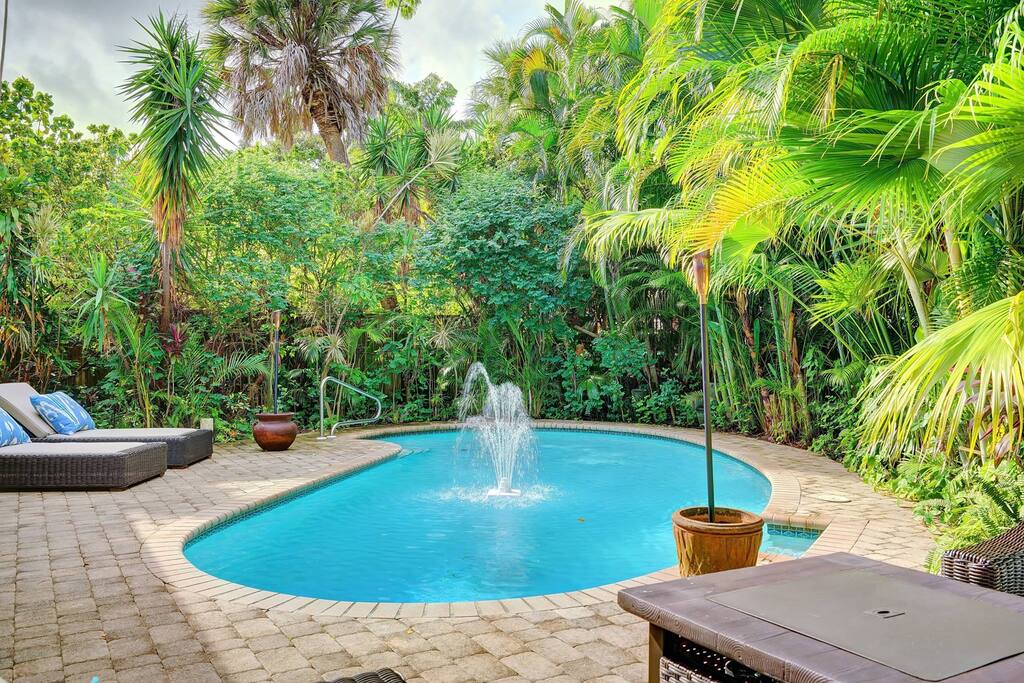 Pool Oasis