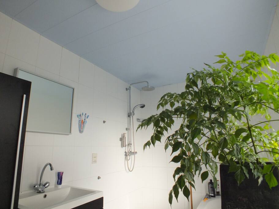 Badkamer