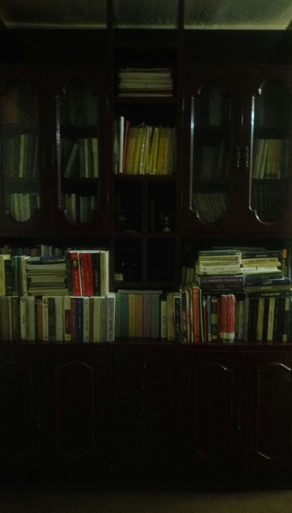 A large wooden bookshelf is filled with an assortment of books in various colors and sizes. The upper section contains neatly arranged books, while the lower section features a mix of books and drawers. The shelving unit provides ample storage space and adds a touch of warmth to the room.