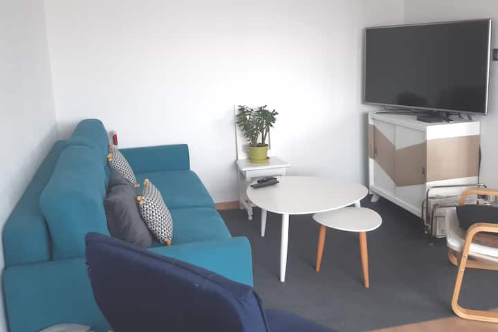 Lumineux T4 Avec Balcon Et Garage - Strasbourg
