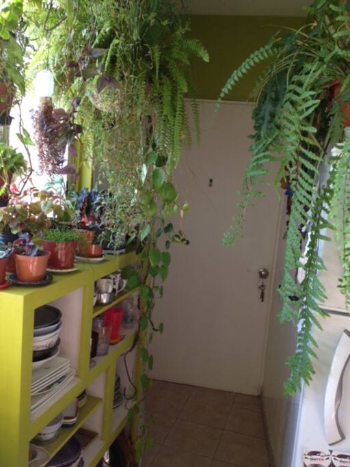 acceso privado a la casa