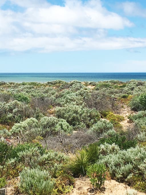 View from balcony - beautiful native coastal vegetation surrounds Dune House