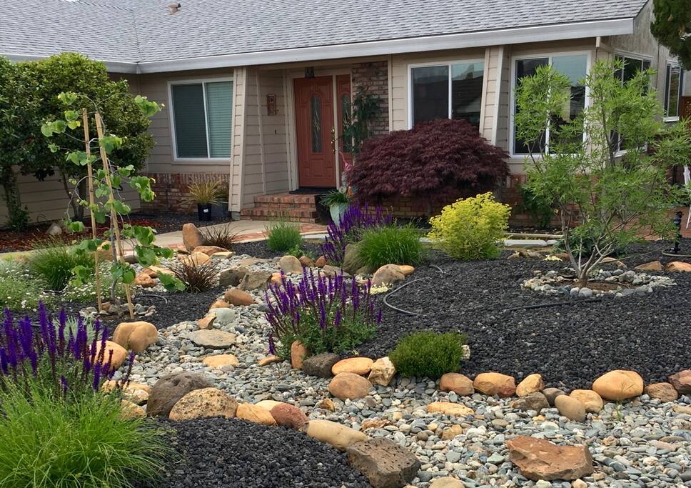 The front of the house with our recent drought-tolerant landscape remodel.
