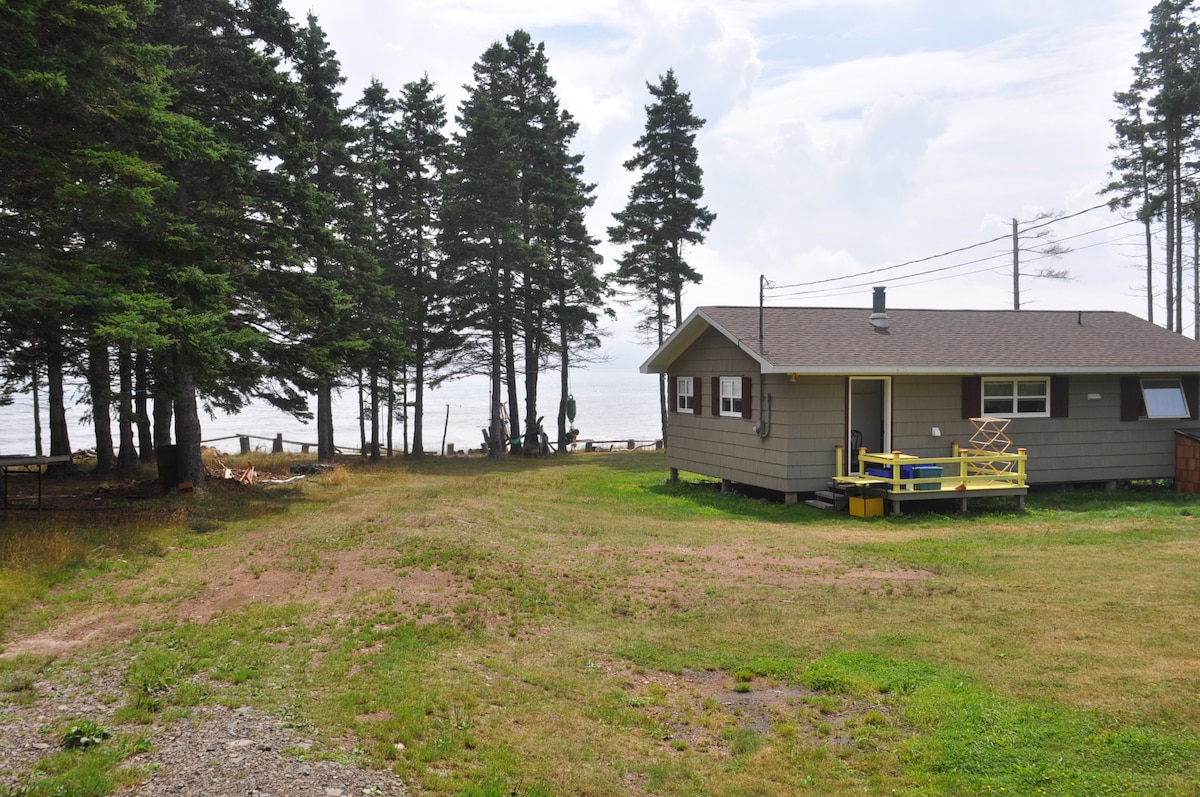 A newly built cottage is situated among tall trees with a view of the ocean in the background. A grassy area is framed by the home and a pathway leads to the water's edge. A small deck with yellow chairs is seen in front of the cottage.