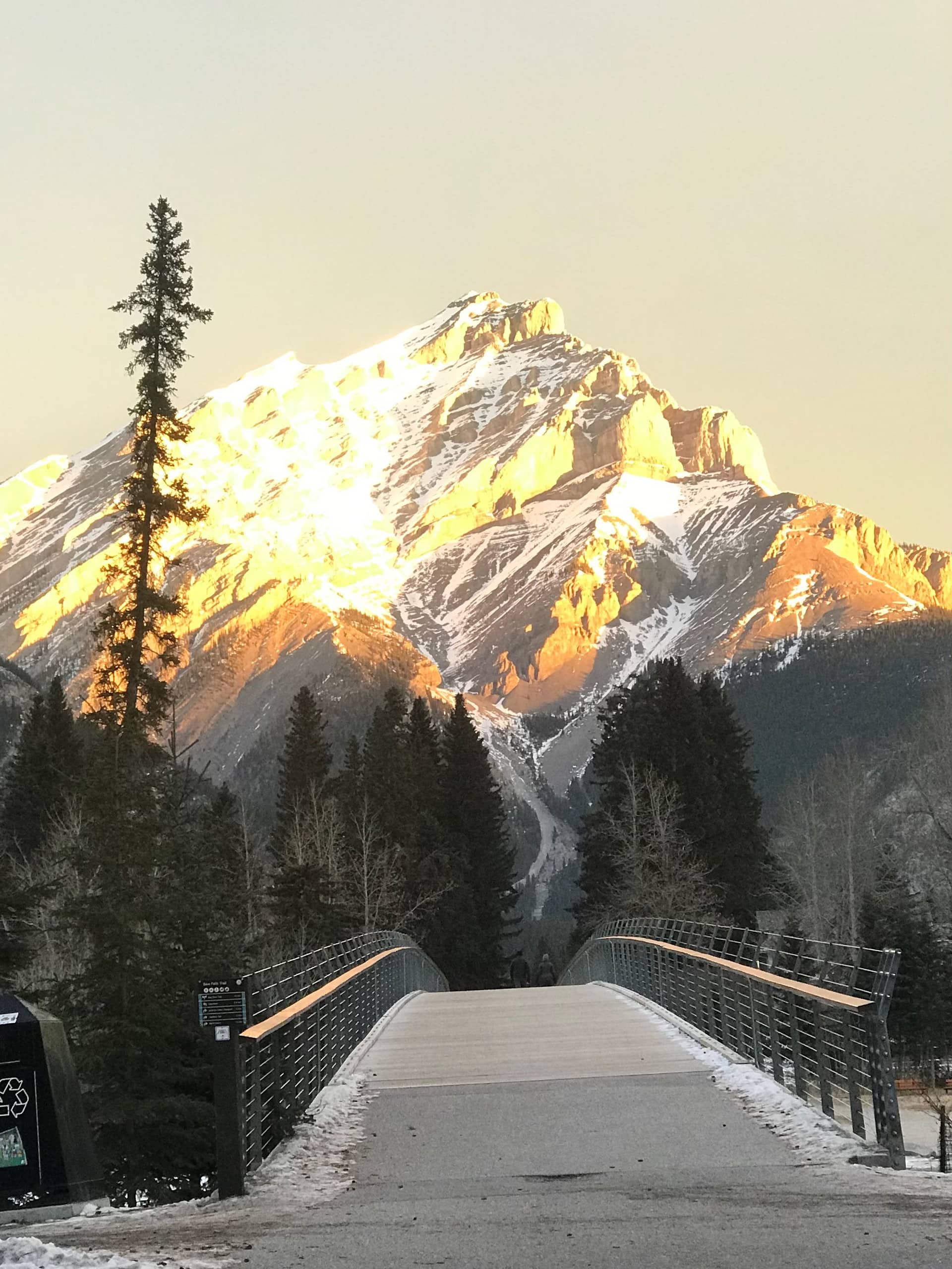 Banff’s Best Getaway- Rundle View Laneway House