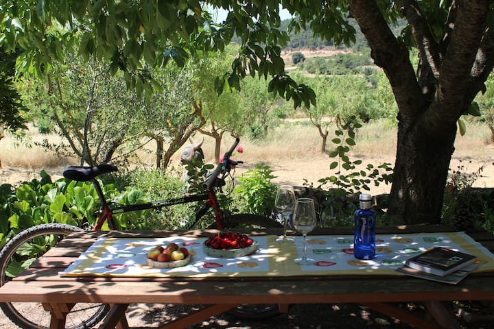 Lugar Tranquilo Para Vivir La Naturaleza Casas En Renta En Senan Catalunya Espana