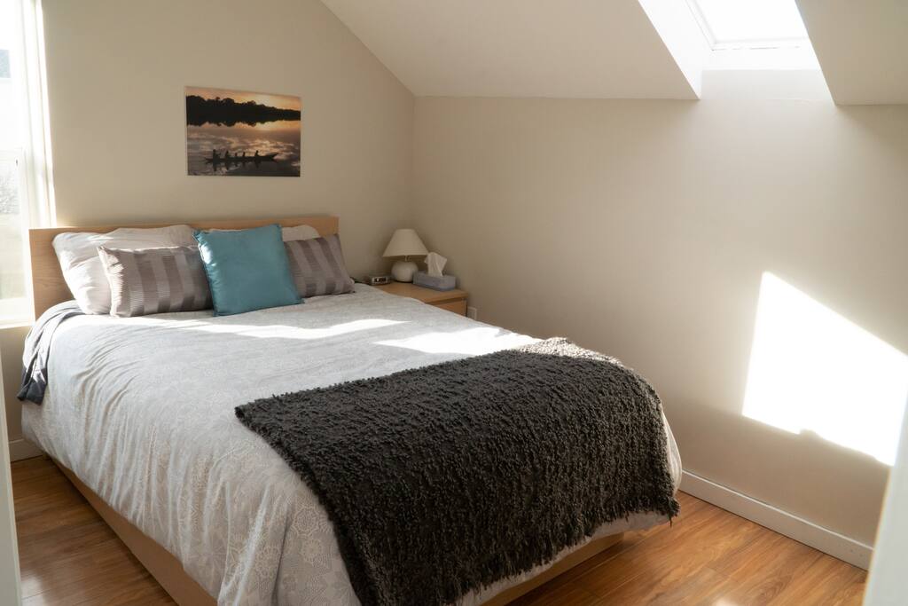 South-facing bedroom with Queen bed and skylight.