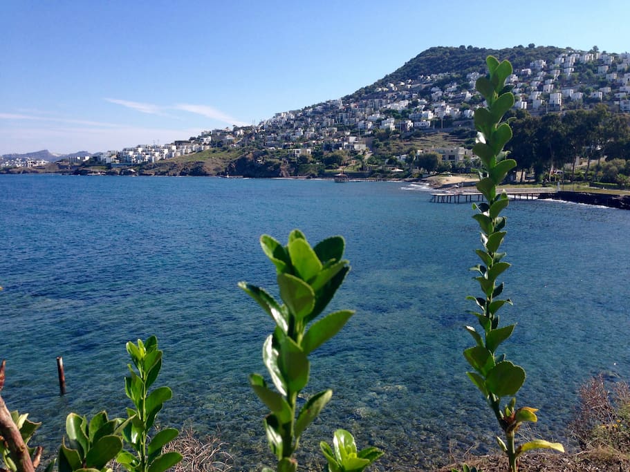 Seaside - 5 min. by walking distance