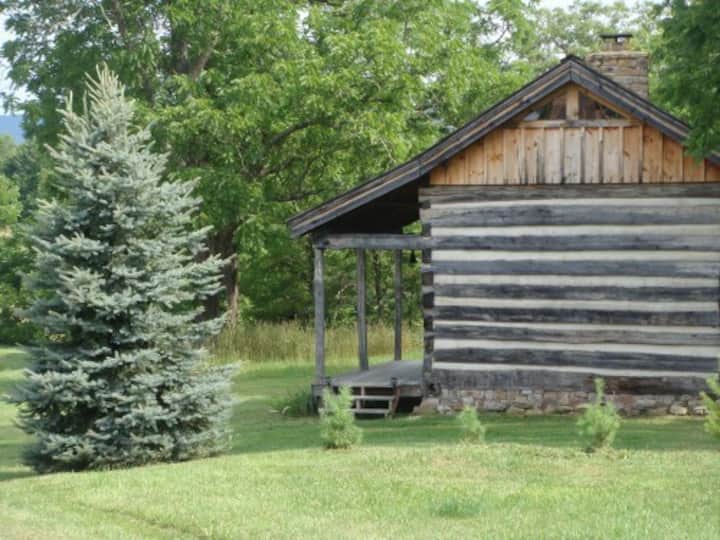 GOOD TIME FARM LOG CABIN ESCAPE - Cabins for Rent in Hillsboro, West  Virginia, United States - Airbnb
