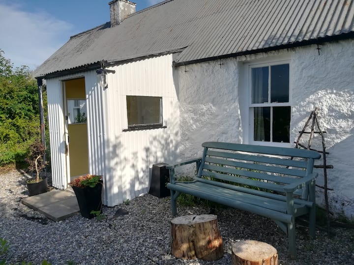 12 Best PetFriendly Airbnb Vacation Rentals In Scotland, UK Updated