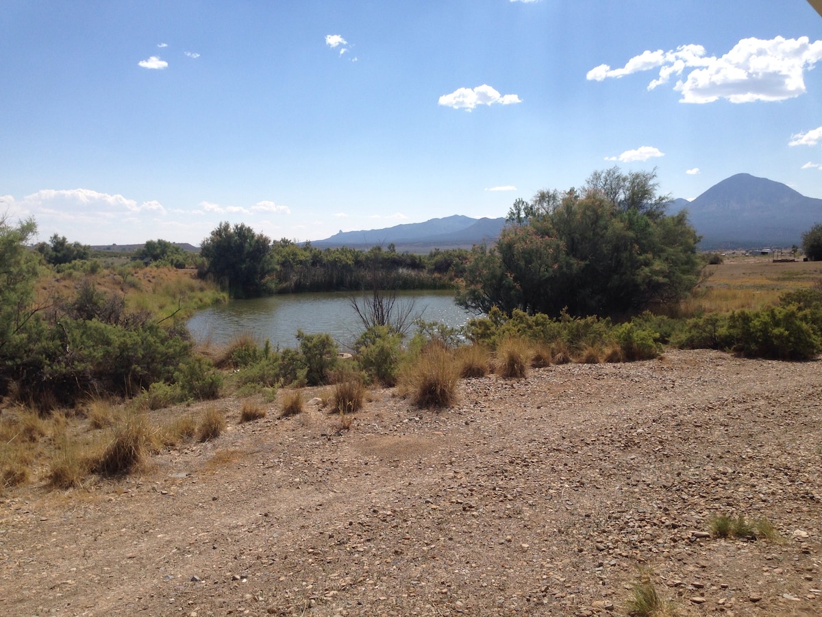 A serene pond is surrounded by sparse vegetation and soft earth, with distant mountains providing a scenic backdrop. Bright sunlight casts gentle shadows over the landscape, highlighting the natural beauty of the southwestern Colorado terrain.