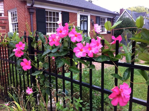 Top Airbnb: Plaza Midwood private room and bath in Plaza Midwood