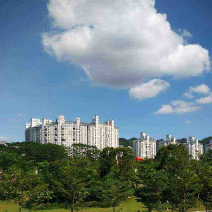 天桥上映入眼帘的此图片就在本房源的小区里