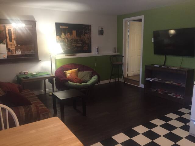 Cozy 1 bedroom apartment close to downtown