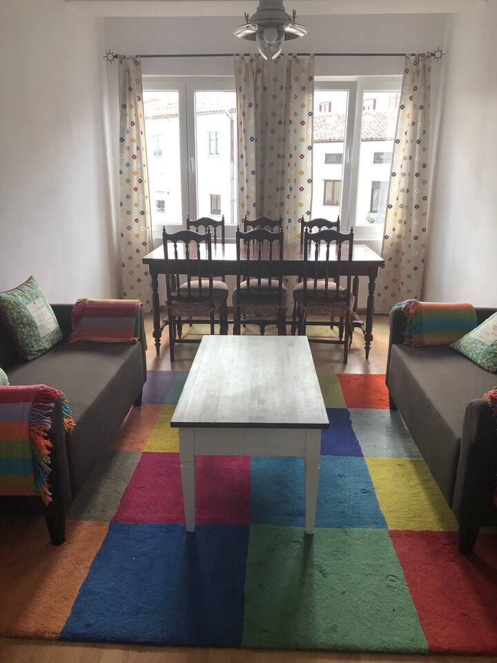 BRIGHT APARTMENT IN QUIET AND CENTRAL NEIGHBORHOOD