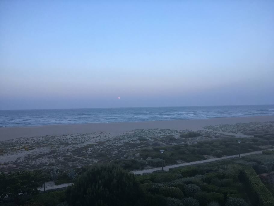 Vue de l'appartement