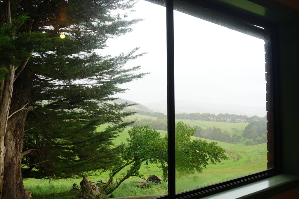 View from the room