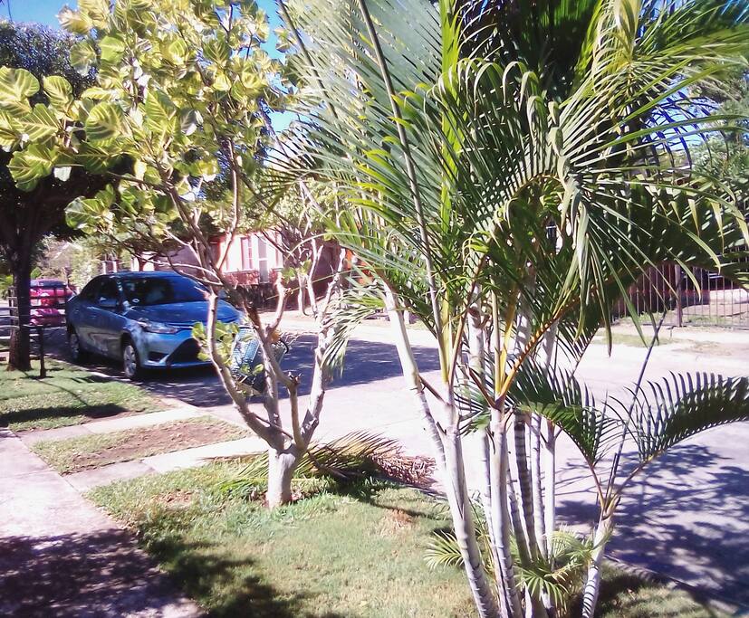 Área de Estacionamiento