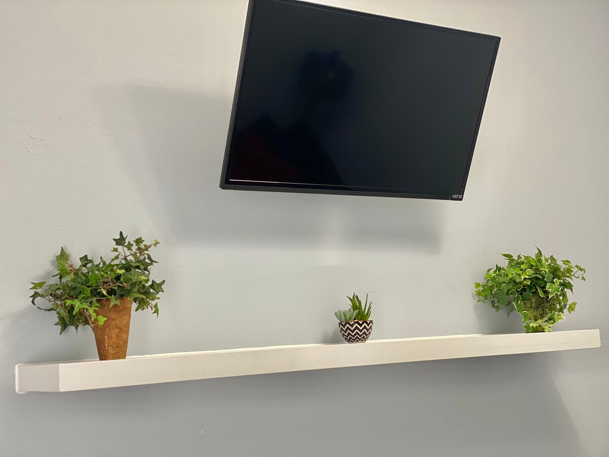 A wall-mounted television is positioned above a floating shelf. On either side of the shelf, small decorative plants are displayed in various pots. The shelf is accented by a light-colored wall, adding a touch of greenery to the space.